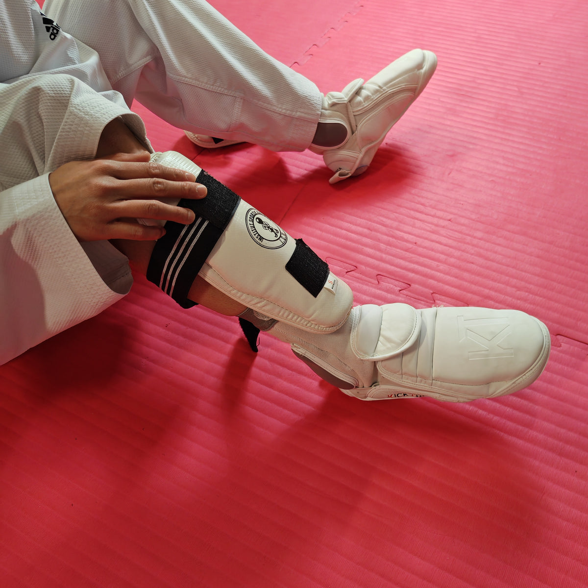 Kicktronics | Pπ10 / P10  Electronic | Chausson électronique compatible PSS